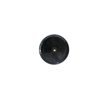 MEMBRANA LATERAL T12