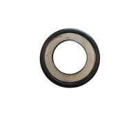 RETENTOR R-55X100