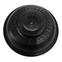 PROTECCAO MEMBRANA CABECA P48